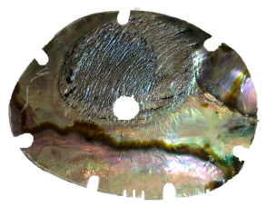 "Tai Aroha" (2018) by Margaret Aull